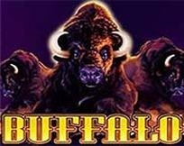 BUFFALO MC